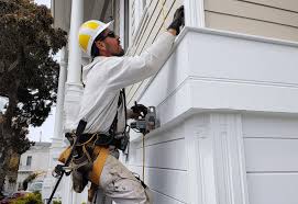 Best Siding Removal and Disposal  in Lake Holiday, IL